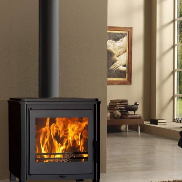 Have you examined our fireplace stove varieties?